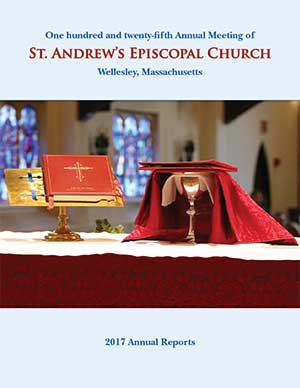 2017 Annual Reports Cover