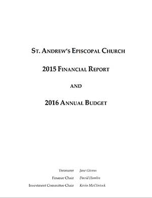 2015 Finance Report img